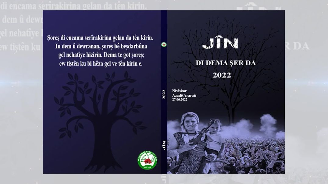 Jîn_1 (di dema şer da)