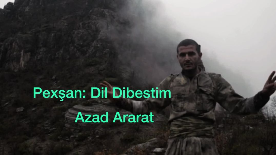Dil Dibestim